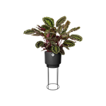 b.for studio rund 30cm living schwarz